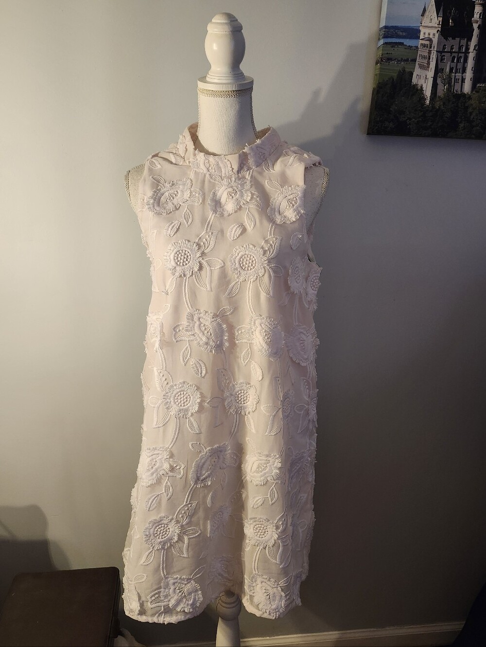 Stitch by Chenault Sleeveless Floral Appliqué Shift Dress Light Pink Size S Nwt